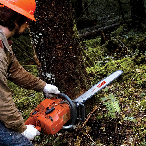 Sharpening Your Chainsaw